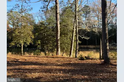 Tbd Lot 28 South Glebe Rd, Montross, VA 22520 - Photo 15