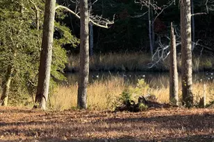 Tbd Lot 28 South Glebe Rd, Montross, VA 22520 - Photo 17