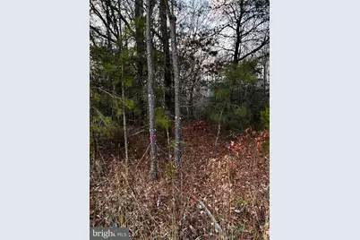 0 Pratts Place, Montross, VA 22520 - Photo 1