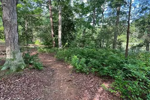 Tbd Lot 75 South Glebe Rd, Montross, VA 22520 - Photo 49