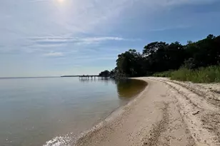 Tbd Lot 75 South Glebe Rd, Montross, VA 22520 - Photo 61