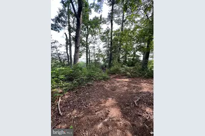 Tbd Lot 121 Currioman Drive, Montross, VA 22520 - Photo 51