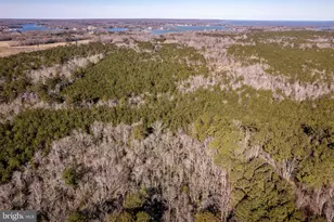 1960 Erica Rd, Montross, VA 22520 - Photo 59