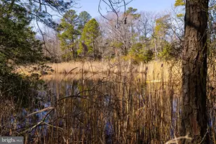 27 Colony Way, Montross, VA 22520 - Photo 89