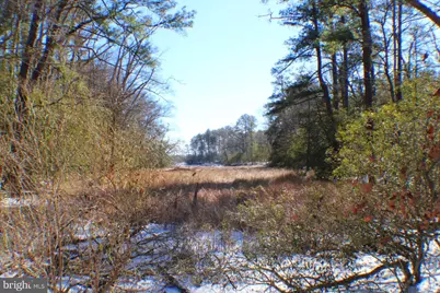 00 S Tidwells Road, Montross, VA 22520 - Photo 5