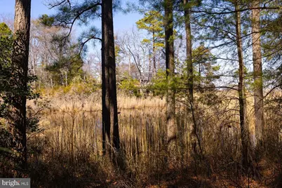 198 Canoe Place, Montross, VA 22520 - Photo 47
