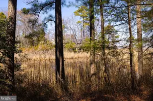 198 Canoe Pl, Montross, VA 22520 - Photo 47