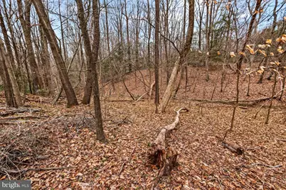 118 Bishop Drive, Montross, VA 22520 - Photo 37