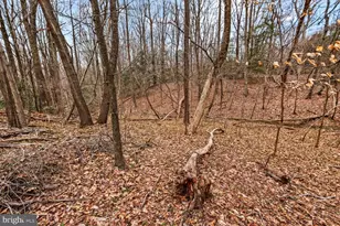 118 Bishop Dr, Montross, VA 22520 - Photo 37