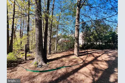 213 Forest Avenue, Colonial Beach, VA 22443 - Photo 15