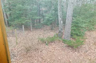 1101 Albrough Blvd, Colonial Beach, VA 22443 - Photo 39