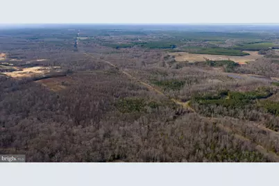 Trigger Lane, Colonial Beach, VA 22443 - Photo 15