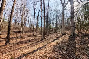 Lot 74 Plantation Dr, Montross, VA 22520 - Photo 1