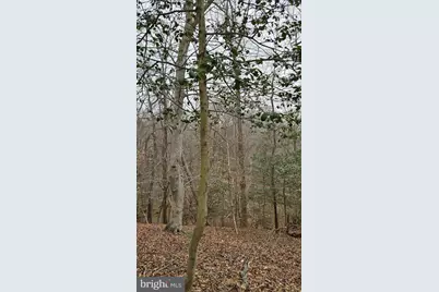 Lot 20 Hidden Lake Dr., Montross, VA 22520 - Photo 3