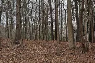 Lot 20 Hidden Lake Dr, Montross, VA 22520 - Photo 1