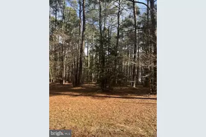 S Glebe Road, Montross, VA 22520 - Photo 3