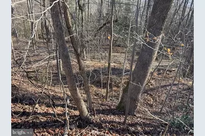 Lot 6 Bald Eagle Dr, Montross, VA 22520 - Photo 1