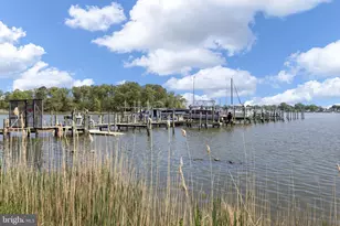 241 Potomac Ln, Colonial Beach, VA 22443 - Photo 41