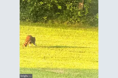 Lot 59 Federalist Way, Montross, VA 22520 - Photo 27