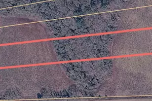 Lot 9 Kings Hwy, Montross, VA 22520 - Photo 1