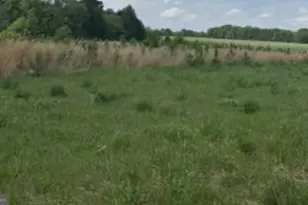 Lot 10 Kings Hwy, Montross, VA 22520 - Photo 1