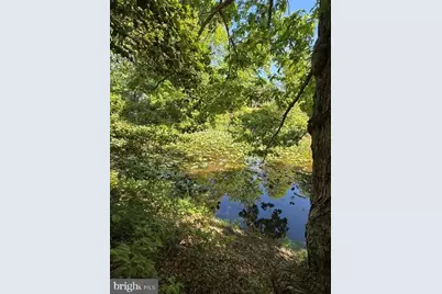 32 Placid Rd, Colonial Beach, VA 22443 - Photo 55