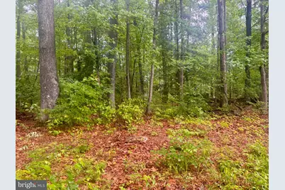 72-75 Henry Drive, Hague, VA 22469 - Photo 3