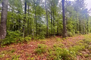 72-75 Henry Dr, Hague, VA 22469 - Photo 1