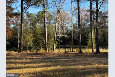 392 South Glebe Road, Montross, VA 22520 - Photo 13