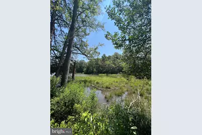 392 South Glebe Road, Montross, VA 22520 - Photo 17