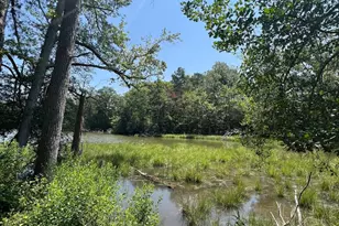 392 S Glebe Rd, Montross, VA 22520 - Photo 17