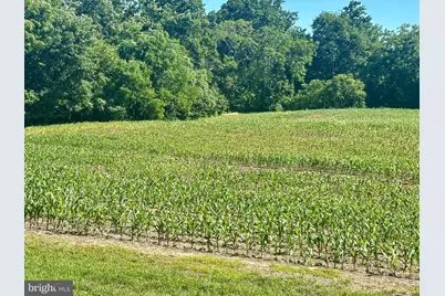 4129 Stratford Hall Road, Montross, VA 22520 - Photo 49