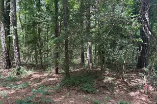 0 Pioneer Trail, Hague, VA 22469 - Photo 1