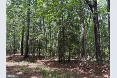 Lot 27 Stotsylvania Road, Hague, VA 22469 - Photo 3