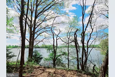 Lot 5 Zacata Road, Montross, VA 22520 - Photo 5