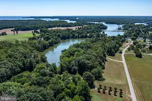 1019 Bancton Rd, Kinsale, VA 22488 - Photo 31