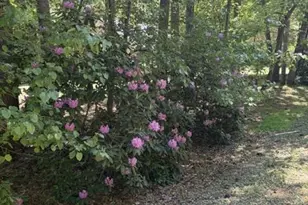 809 Salisbury Park Rd, Hague, VA 22469 - Photo 17