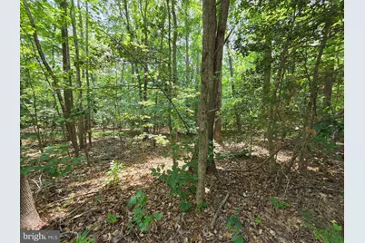 Lot 26 Greenpoint Landing Road, Montross, VA 22520 - Photo 3