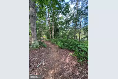352 North Glebe Road, Montross, VA 22520 - Photo 47