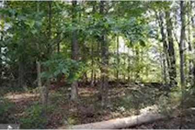 Trigger Drive, Colonial Beach, VA 22443 - Photo 5