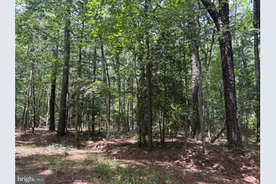 Lot 27 & 28 Stotsylvania Drive, Hague, VA 22469 - Photo 3