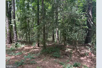 Lot 27 & 28 Stotsylvania Drive, Hague, VA 22469 - Photo 1