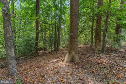 275 Castle Drive, Montross, VA 22520 - Photo 5