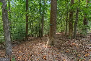 275 Castle Dr, Montross, VA 22520 - Photo 5