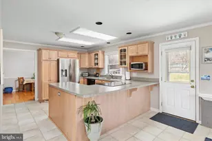 519 Whitacre St, Winchester, VA 22601 - Photo 11