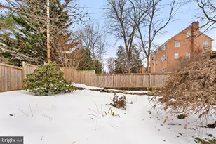 431 Jefferson St, Winchester, VA 22601 - Photo 43