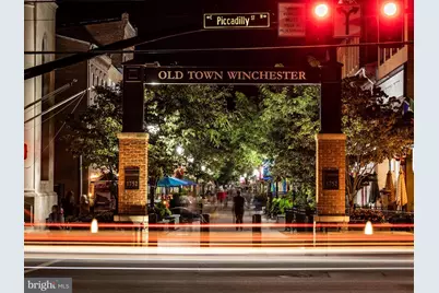 769 Seldon Drive, Winchester, VA 22601 - Photo 53