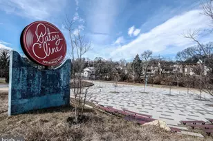 423 Shenandoah Pl, Winchester, VA 22601 - Photo 51