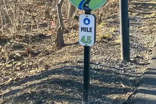 1818 Blythe Way, Winchester, VA 22601 - Photo 77