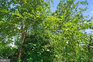 720 S Kent St, Winchester, VA 22601 - Photo 81